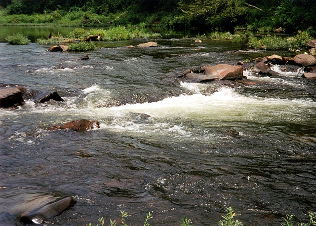 Cossatot River