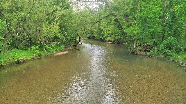 Caddo River